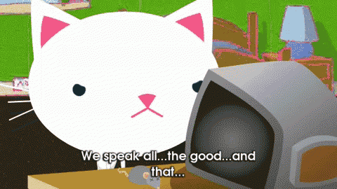 a cartoon cat says " we speak all the good and that " next to a computer monitor