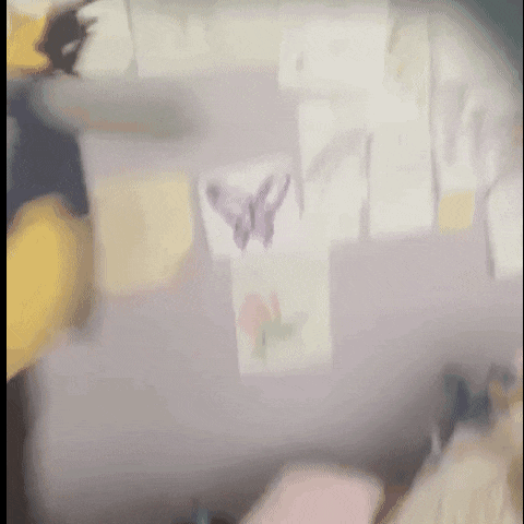 a blurry picture of a room with a butterfly on a wall