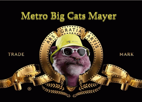 Metro Big Cats GIF - Metro Big Cats GIFs