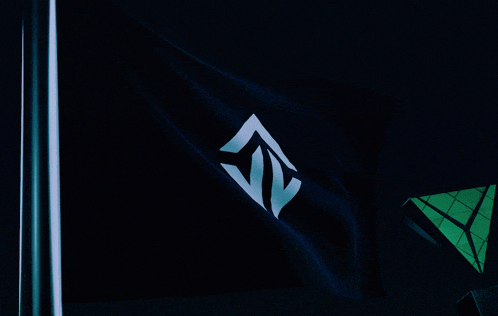 a black flag with a blue triangle with the letter v on it