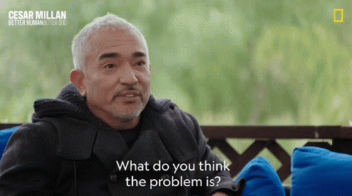 What Do You Think The Problem Is Cesar Millan GIF - What Do You Think The Problem Is Cesar Millan Cesar Millan Better Human Better Dog GIFs