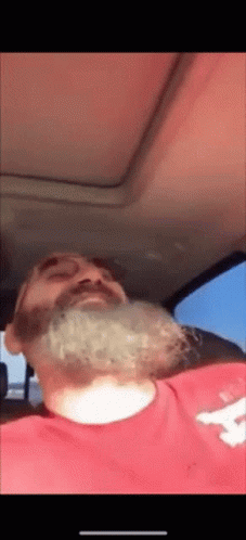 Long Beard Car GIF - Long Beard Car Laugh GIFs