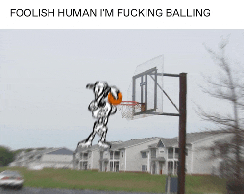 a picture of a basketball hoop with the words foolish human i 'm fucking balling