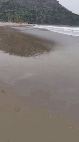 Beach Waves GIF - Beach Waves Wave GIFs