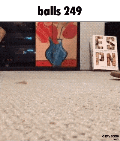 a picture of a vase with the words balls 249 on it