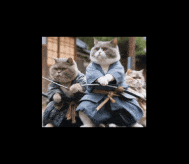 a cat is wearing a blue robe and holding a sword with chinese characters on its face