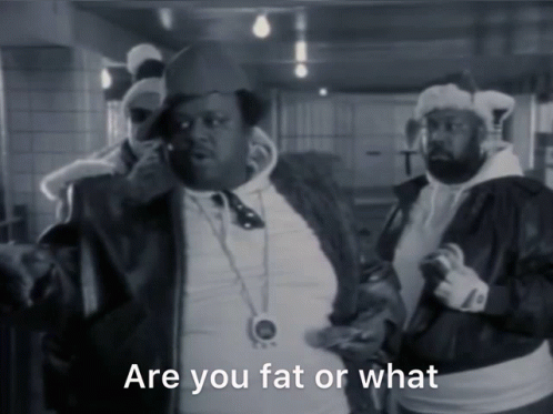 Are You Fat Or What Fat GIF - Are You Fat Or What Are You Fat Fat GIFs