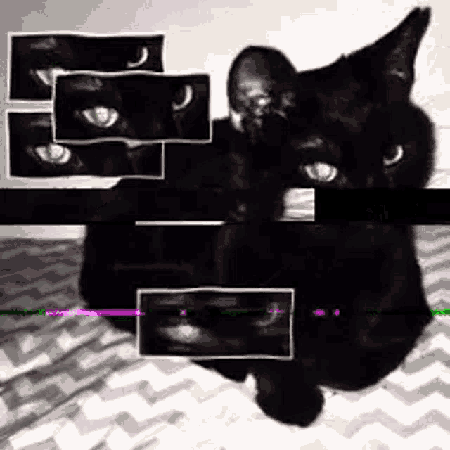 a black cat with green eyes is sitting on a bed surrounded by images of its face .