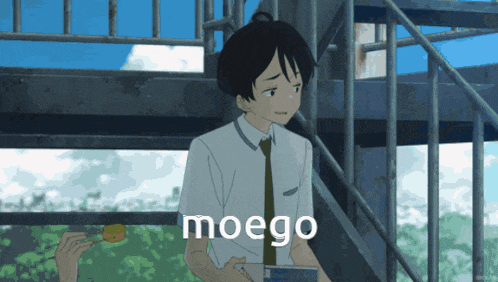 a man in a white shirt and tie is sitting on a set of stairs with the word moego written in white