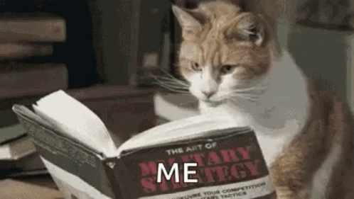 Books Read GIF - Books Read Cat GIFs
