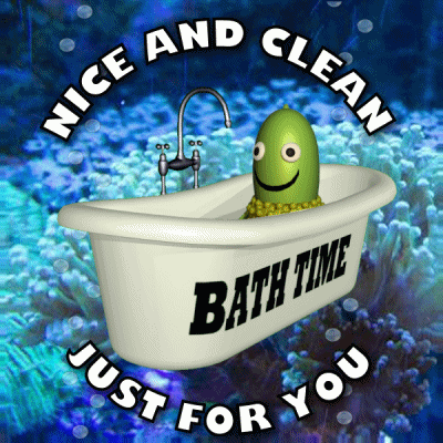 Nice And Clean Bathroom GIF - Nice And Clean Bathroom Bath Time GIFs