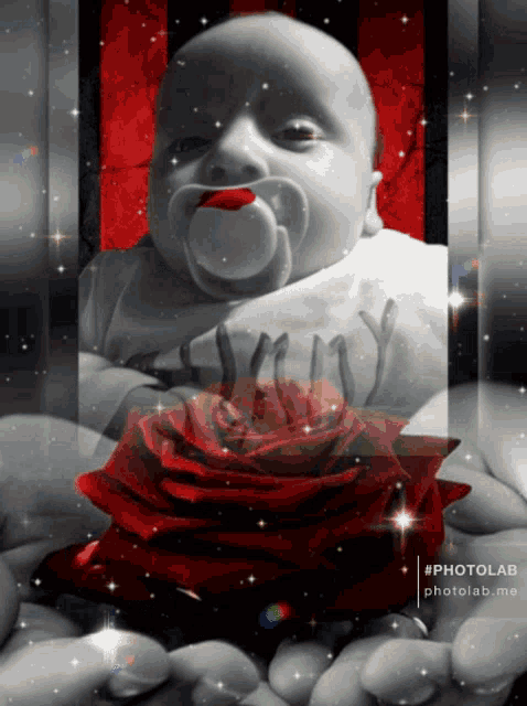 a baby with a pacifier in his mouth is holding a rose