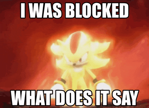 a picture of shadow the hedgehog with the words i was blocked what does it say