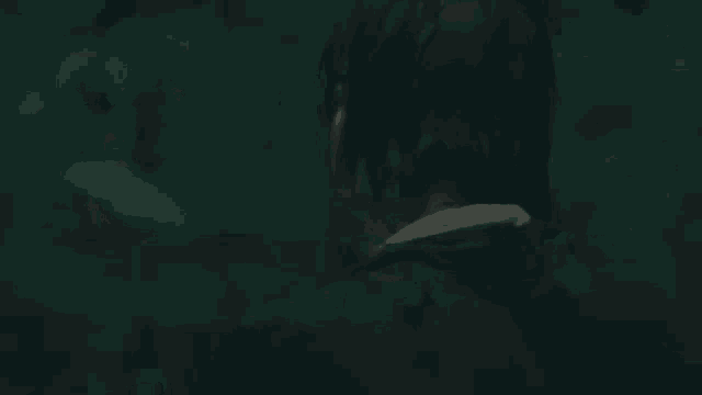 a man with a beard is walking through a dark forest in the dark .