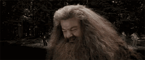 Hagrid Salty GIF - Hagrid Salty Sad GIFs