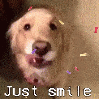 Smiling Dog GIF - Smiling Dog Animals GIFs