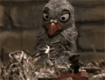 a bird is sitting on a pile of popcorn .