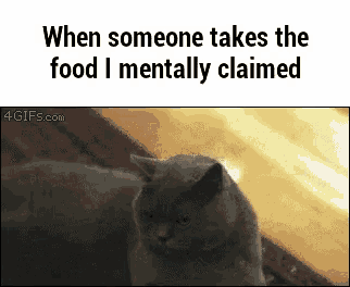 a picture of a cat next to a text that says when someone takes the food i mentally claimed