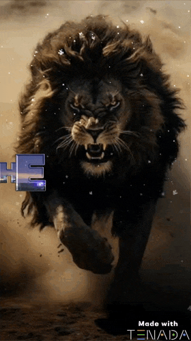 a picture of a lion running with the number 2 on it