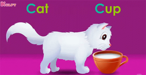 C For Cat Cat GIF - C For Cat Cat Cup GIFs