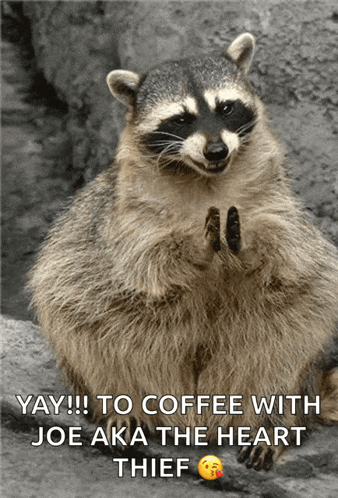 a picture of a raccoon with a caption that says " to coffee with joe aka the heart thief "