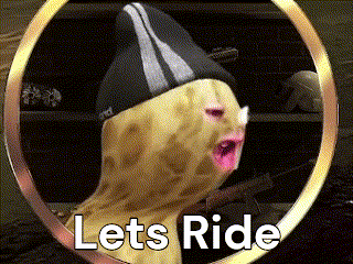 a picture of a cat with a hat and the words lets ride