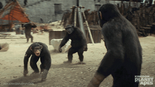 a poster for kingdom of the planet apes shows three chimpanzees