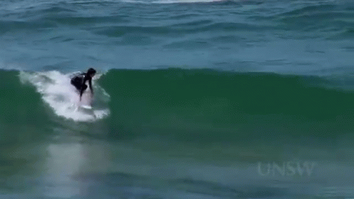 Everybody'S Gone Surfin' GIF - Surf Surfing Water GIFs