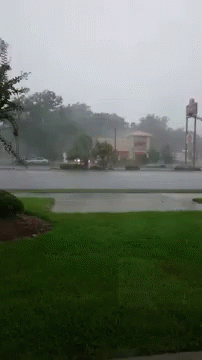 Classic Florida GIF - Lightning Storm GIFs