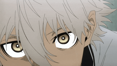 a close up of a person 's eyes with a white hair