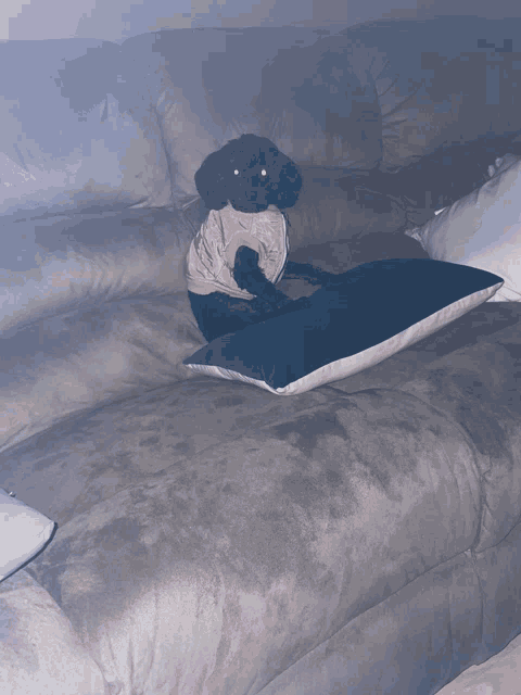 a black dog wearing a pink shirt sits on a couch next to a blue pillow