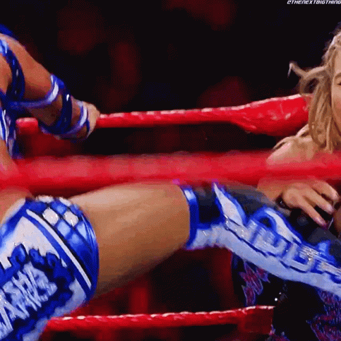 Sasha Banks Kicks GIF - Sasha Banks Kicks Natalya GIFs