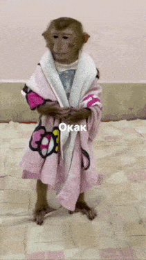 a monkey wrapped in a pink hello kitty robe