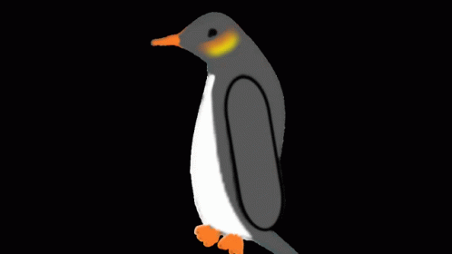 Whospin Penguin GIF - Whospin Penguin Spin GIFs