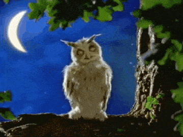 Owl House Sleepwalk GIF - Owl House Sleepwalk Sleepwalking GIFs