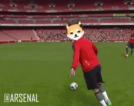 a man in a red jacket with a dog on his face is jumping in the air on a soccer field