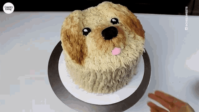 Puppy Cake Dog Cake GIF - Puppy Cake Dog Cake Baking GIFs
