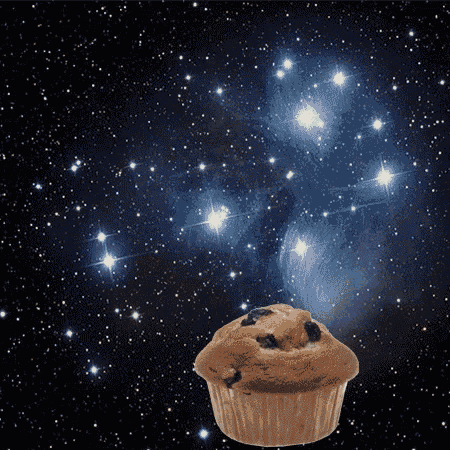 Sloth Muffin GIF - Sloth Muffin Space GIFs