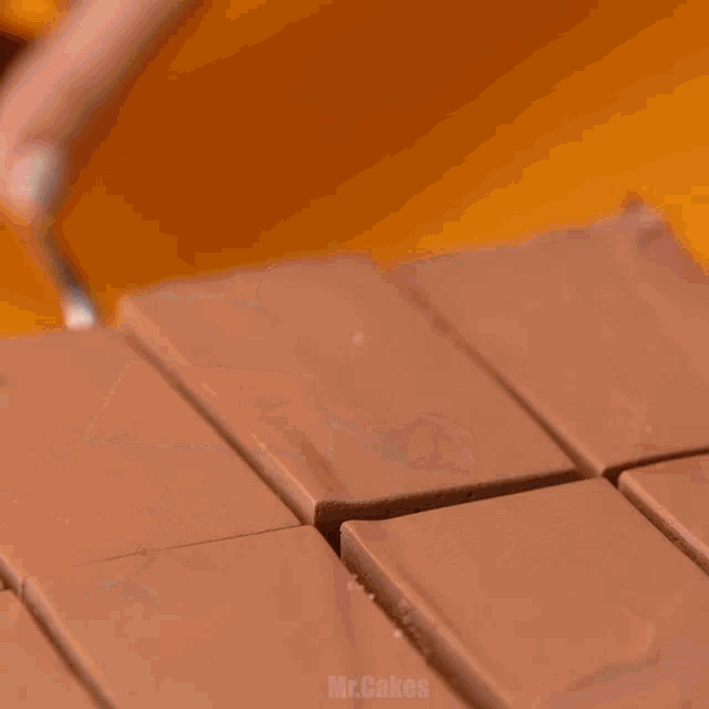slices of chocolate cake on a wooden cutting board with mr.cakes written in the corner