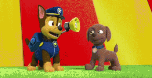 Chase And GIF - Chase And Zuma GIFs