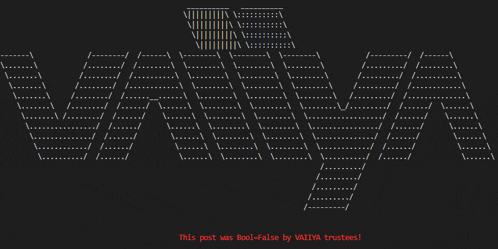 a computer screen displays a message that says this post was built-false by vaiiya trustes