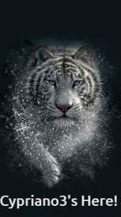 a poster of a white tiger with the words cypriano3 's here below it