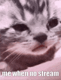 a close up of a cat 's face with a caption that says me when no stream