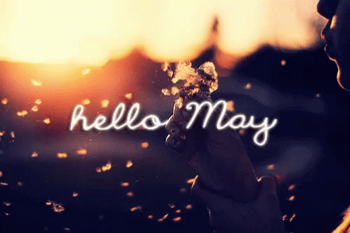 Hello May May Day GIF - Hello May May Day May GIFs