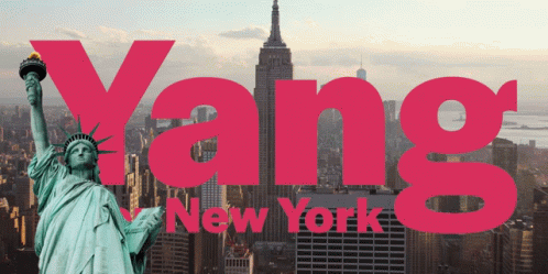 Yang For Ny Yang For Nyc GIF - Yang For Ny Yang For Nyc Yang For New York GIFs