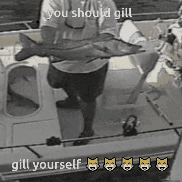 Gill Gill Yourself GIF - Gill Gill Yourself Fish GIFs