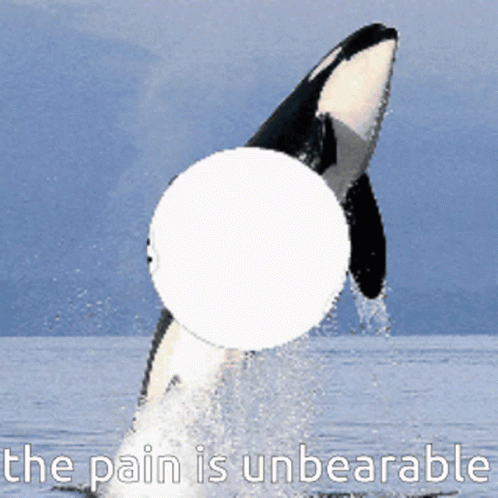 Pain The Pain Is Unbearable GIF - Pain The Pain Is Unbearable The Pain Is Real GIFs