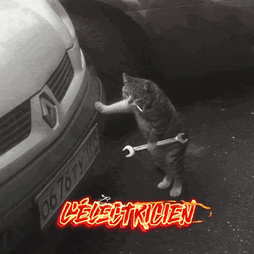 a cat is holding a wrench in front of a car that says l' electricien on it