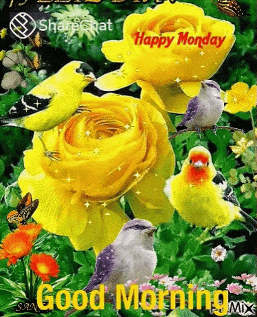 a happy monday greeting card with birds and yellow roses