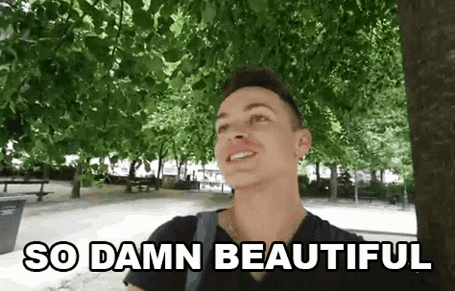 a young man is standing under a tree in a park with the words `` so damn beautiful '' written on the screen .